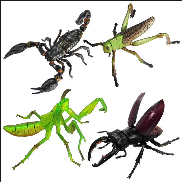 곤충 모형 퍼즐(전갈/사슴벌레/사마귀/메뚜기)