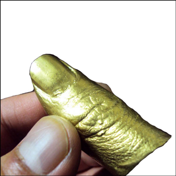 손가락 모형화석(10인용)