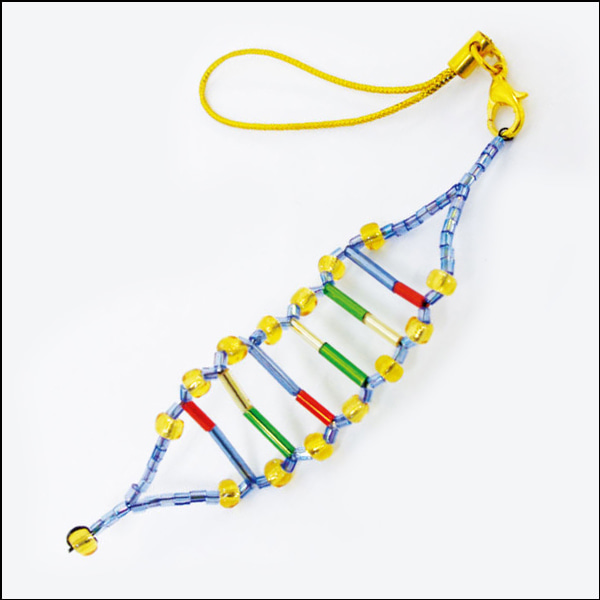 DNA 비즈 핸드폰고리 만들기(10인용)